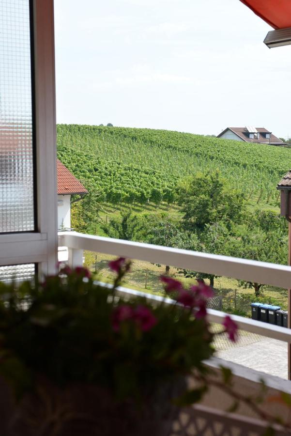 Ferienwohnung Seaview Meersburg Extérieur photo